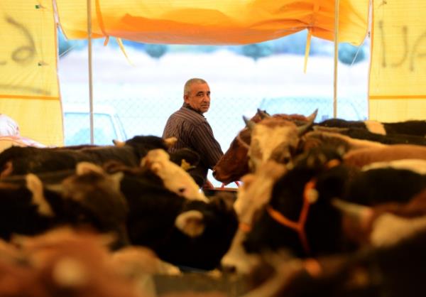 Efendimiz (sav) imkn olduu halde kurban kesmeyen kimseleri, ar bir dille ikaz ediyor; hli vakit yerinde olanlarn kurban kesmesi gerektiini bildirmitir: "Kurban kesecek gte olup da kesmeyen, namazgahmza yaklamasn." [ bn Mace, ]