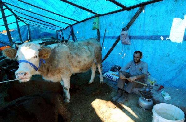 Zekt ibadetinde yln zenginlii aranrken, kurban ibadetinde gnn zenginlii esas alnmtr. Kiinin zenginliinde kurban bayram sresindeki durumu l alnr.