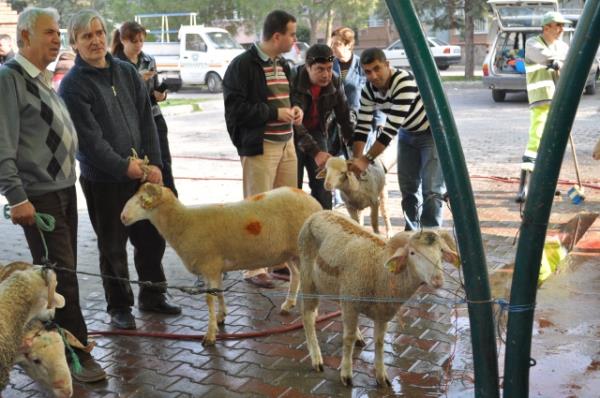 Kur'an- kerim'de Efendimiz sallallahu aleyhi ve sellem hitaben yle buyrulmutur: "Rabbin iin namaz kl ve kurban kesiver." [ Kevser suresi. 108/2] "Her mmet iin, Allah'n kendilerine rzk olarak verdii kurbanlk hayvanlarn zerlerine O'nun adn anarak kurban kesmeyi meru kldk." [ Hac suresi.22/34-37] "Biz oluna bedel ona byk bir kurban verdik" [ Saffat suresi.37/107]