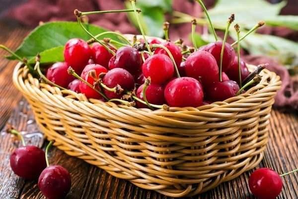 EDTR NOTU: Bu ve bunun gibi ierikleri kontrolsz ekilde tketmemelisiniz. Herhangi bir alerji ve olas bir salk problemine sebebiyet vermemek adna uzmana danmanz tavsiye ederiz.