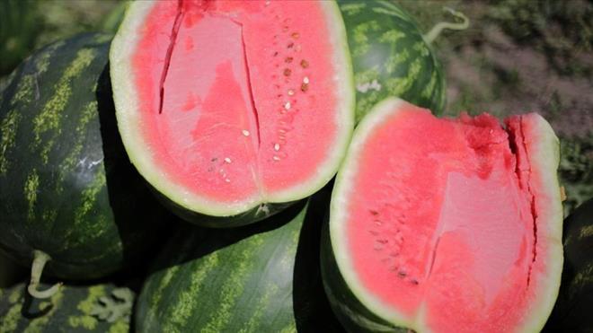 2. Alt Lekeye Bakn:    Karpuzun yere dedii ksmndaki lekeye (alan) bakn. Bu leke krem-sar veya tereya sars renkteyse karpuz olgun demektir. Eer leke beyaz veya yeilimsi ise karpuz henz tam olgunlamam olabilir.