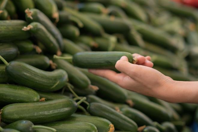 SNDRM KORUYOR    Sindirim sistemi problemleri yaayanlar iin salatalk nemli bir desteki. Kabuundaki lif, barsak hareketlerini dzenleyerek kabzl nlemeye yardmc olurken, yksek su ierii atklarn yumuamasn salayarak sindirimi kolaylatryor. Bu nedenle mshil veya takviyeler yerine doal bir zm olarak tercih ediliyor.