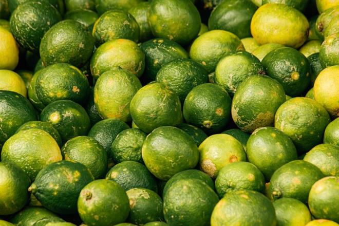 Norovirs, ensefalit ve menenjit gibi ciddi enfeksiyonlara da yol aabilen istiridyenin salkl bireyler iin bile riskli olduunun altn izen uzman, zellikle hamileler ve kronik hastal olanlarn bu gdadan uzak durmas gerektiini belirtti.