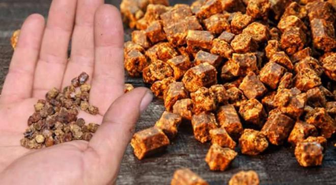 Salk iin saysz faydas bulunan ancak gemi yllarda pe atlan ar ekmei, imdilerde hem bal reticilerinin hem de vatandalarn yakn takibinde. Protein deposu olan ar ekmeinin kilosu ise dudak uuklatan fiyata sata sunuluyor.