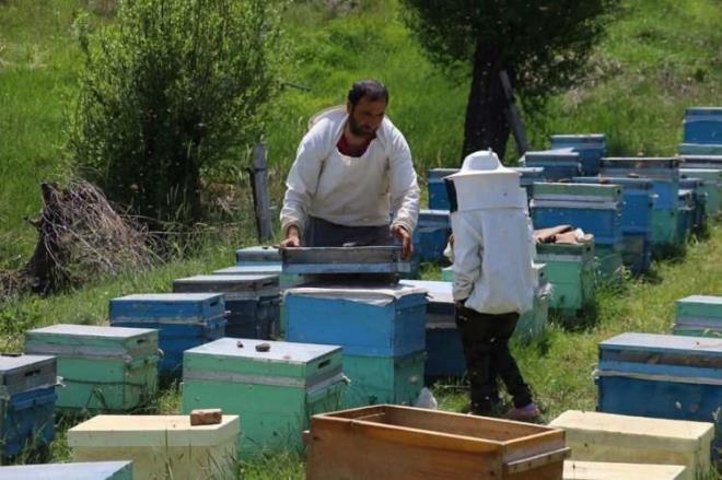 "BROK FARKLI EKTEN OLUAN OK FALI BR BESN"    "Bir ay ka ar ekmei 1 kilogram et ile edeer proteine sahip." diyerek szlerini srdren Ekinci, "Akcier hastalklar, prostat, eklem arlar gibi birok hastala da iyi gelmesi ile biliniyor. Ar ekmeinin kilogram fiyat 3 bin lira. Birka yl nce ar ekmeinin retim yaplmyordu bu p olarak atlyordu.
