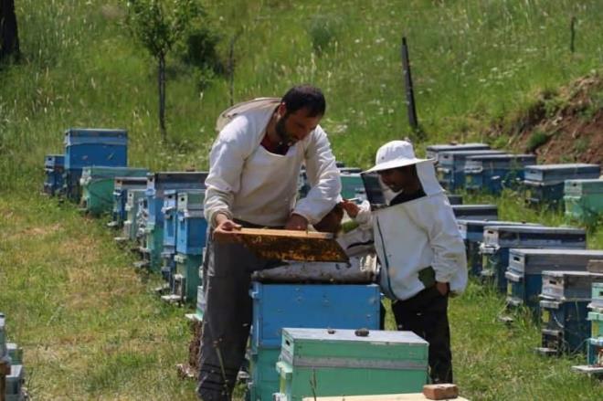 KLOSU 3 BN TL'DEN SATIA SUNULUYOR    Akcier hastalklar, prostat, eklem arlar gibi birok salk sorununa da ifa olan ar ekmeinin kilosu 3 bin liradan sata sunuluyor.