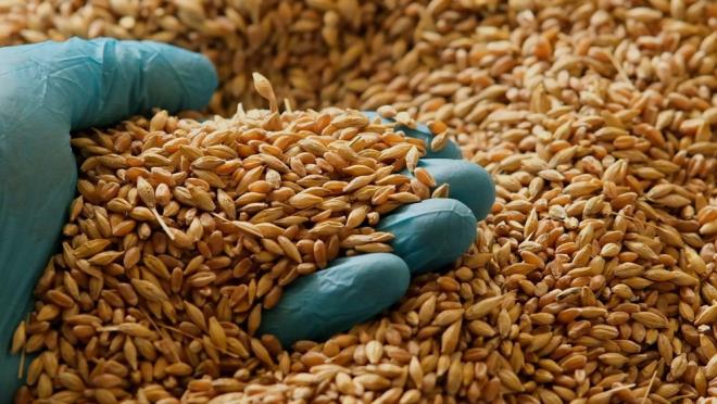 Bu gl besinler iltihab azaltmaya, beyin hcresi ilevini desteklemeye, odaklanmay iyiletirmeye ve hatta yaa bal zihinsel gerilemeyi yavalatmaya yardmc olur. Ve bu nedenle, bu besinleri gnlk diyetinize dahil etmek zamanla hafzanz ve beyin salnz nemli lde iyiletirebilir.