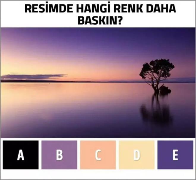 Fotoraftaki manzarada hangi renk daha baskn?