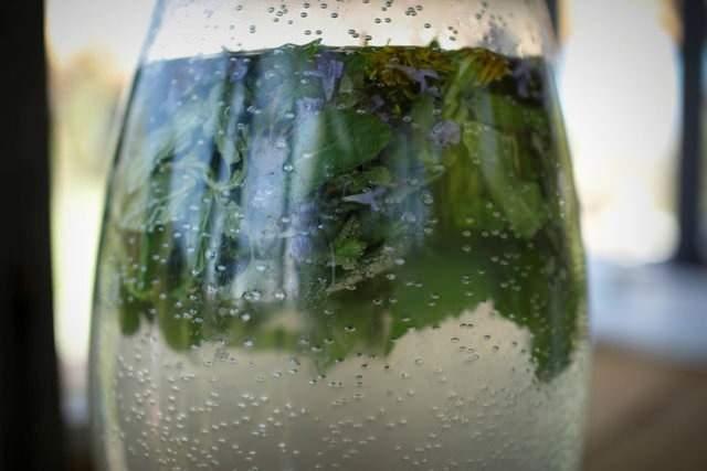 KED NANES    Kediler, kedi nanesini severken sivrisinekler bu bitkiden nefret eder. Bu nedenle kedi nanesini bahenize veya evinizin iinde kullanabilirsiniz. Ya da suyla kartrp sivrisineklerin olduu yerlere pskrtebilirsiniz.