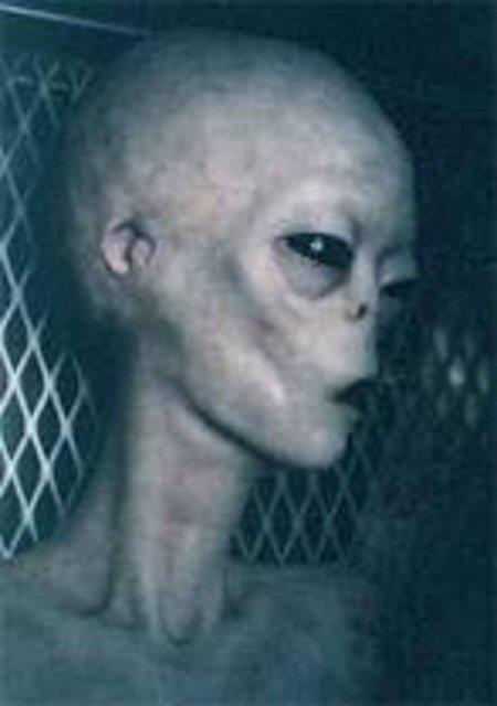 Bunun zerine General Ramey Forth Worth ss'nde bir basn toplants dzenleyerek Roswell yaknlarnda den cismin bir uan daire deil, meteoroloji balonu olduunu syler.