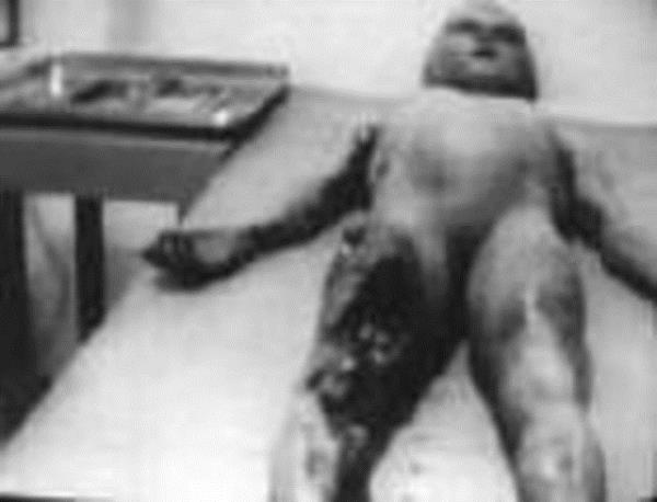 ddialara gre 4 Temmuz 1947 gecesi, ABD'de kk bir New Mexico kasabas olan Roswell yaknlarna bir uan daire dt. Uan dairenin enkaz ve uzayl mrettebatnn bedenleri olay haber alan ordu tarafndan hemen kaldrld.