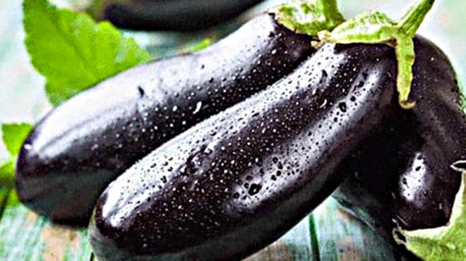 Patlcan: Cannz sigara imek ister ve nikotine lzum dinlerseniz patlcan harcayarak ieriindeki nikotin ile kendinize hafifletebilirsiniz.