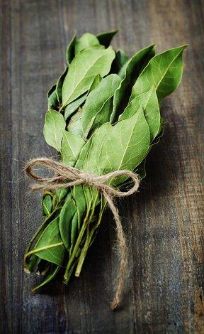 Defne yapraklar ile hazrlanan banyo bayanlarn adet ncesi gerginlik ve arlarna iyi gelirken, romatizma arlarn dindirmek iinde ok etkili.