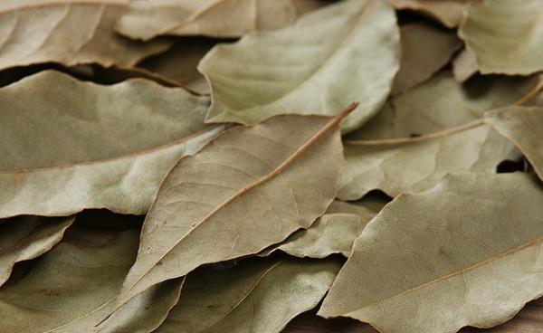 Defne ya defne aacnn zeytine benzeyen meyvesinden karlr ve bundan yaplan garl sabun sa ve cilt sal iin kullanlr