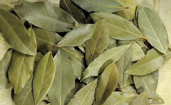 Defne sabunu sa diplerindeki gzenekleri aar ve sa dibi tahrilerini onarrc etki gsterir.