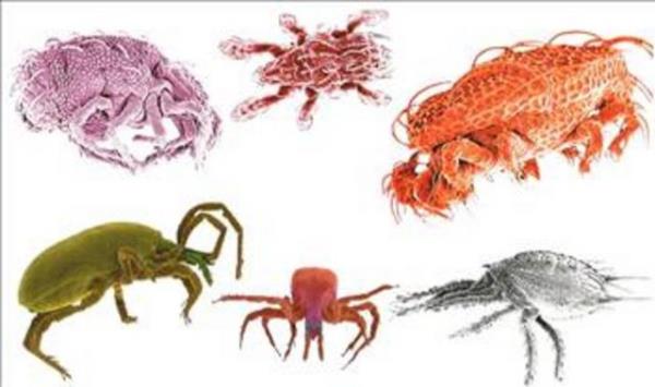 Ayn zamanda gne nn olmamas tam olarak salanmtr.