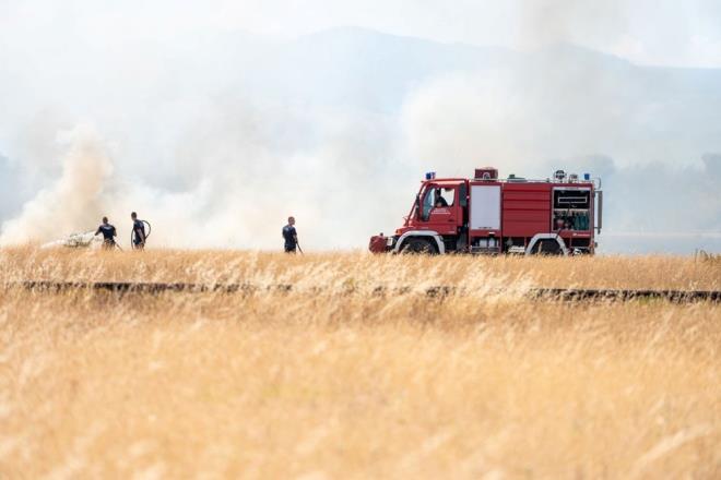 Envantere giren aralarla karada da gl bir filo kurulduu aktarlan bltende unlar kaydedildi:      "1786 arazz, 2 bin 742 ilk mdahale arac, 831 i makinesi halihazrda hizmettedir. 2002 ylnda kara arac says 937 iken, bugn 5 kattan fazla artla 5 bin 359?a ykselmitir. 2025 ylnda emekli olan 3 bin 690 personelin yerine 8 bin 500 yeni personel alm yaplmtr. Orman yangnlaryla mcadelede ara ve ekipman alm tasarruf tedbirlerine girmemektedir. OGM bu anlamda ihtiya duyduu ara ve ekipmanlar bnyesine katmaktadr."