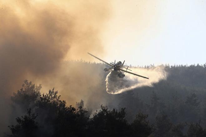 Trkiye'nin Akdeniz kuanda yer alan lkeler ve orman varl yksek olan ABD ve Kanada gibi lkelerle karlatrldnda, yanan alanlarn toplam orman varlna gre orannda daha iyi durumda olduu belirtilen bltende, EFFIS Raporu ile lkelerin kendi resmi aklamalarndan derlenen bilgilere gre 2020-2024 yllarn kapsayan srede, orman varlna gre yanan alanlarn oran srasyla u ekilde sraland:    "Fransa yzde 0.11, Trkiye yzde 0.17, spanya yzde 0.40, talya yzde 0.74, ABD yzde 0.84, Yunanistan yzde 0.94, Portekiz yzde 1.15, Kanada yzde 1.59."