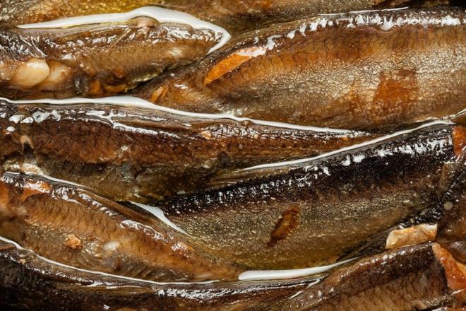 Trkiye denizlerinde de avlanan sardalya, yksek protein ve yalanmaya kar savaan kalsiyum ile D vitamini zenginlii ile ne kyor. Uzmanlar, sardalyann besleyici zelliine dikkat ekerken, sa, trnak ve cilt iin doal destek olduuna vurgu yapt.