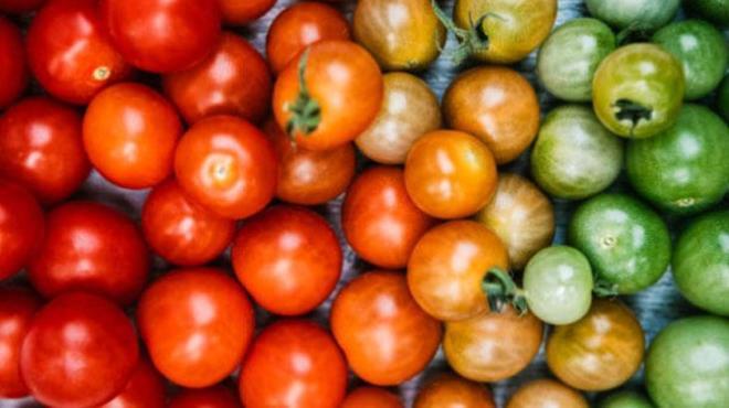 Tarifin en nemli pf noktalarndan biri, sebzelerin ince ince doranmas. Bu, hem pime sresini ksaltyor hem de sebzelerin lezzetlerinin birbirine daha iyi karmasn salyor. nce biberleri, soan ve kapya biberi ykayn, temizleyin ve kk kk dorayn. Soanlar dorarken mmkn olduunca ince kesmeye zen gsterin. Bylece kavrulurken daha hzl yumuayacak ve tarifin kvam mkemmel olacak.