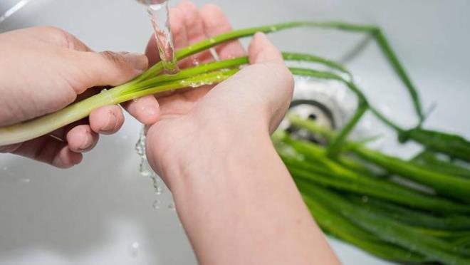 Yeilliklerinizi buzdolaplarnn yeillik iin retilmi blmlerine yerletirebilirsiniz.<p>Bu ekilde saklanan yeillikler genellikle 4-7 gn taze kalr. Nemi alan kat havluyu 2-3 gnde bir deitirmeniz gerektiini unutmayn.