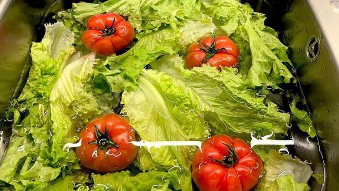 Eer kurutucunuz yoksa endielenmeyin, temiz bir mutfak havlusuyla yeilliklerin suyunu aln. nk fazla nem rmesine neden olur.<p>Ancak yeilliklerinizi hafif nemli brakmanz gerektiini de unutmayn. ok kuru olursa yapraklar gevrekliini kaybeder, ok slak olursa kflenme ve rme balar.