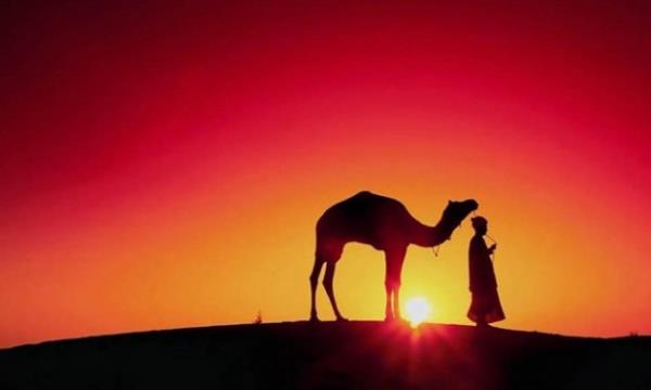 <b>Mcadele 7:</b> Hibir srrn sonsuza kadar gizli kalamayacan unutma.