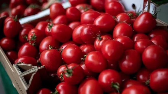 Dolapta kalan ve bozulmaya yz tutmu domatesleri deerlendirme imkannz var.<p>Peki bu ryen domatesleri birok alanda deerlendirebileceinizi biliyor muydunuz?