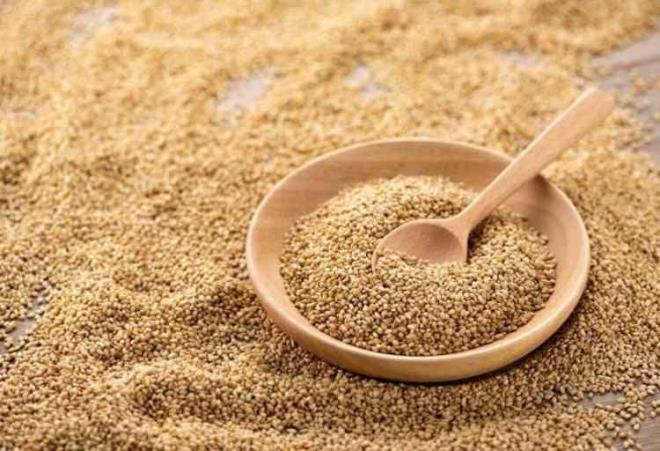 ZENGN BESN ERYLE N PLANA IKIYOR    Kk boyutuna ramen zengin bir besin profiline sahip olan susam; kalsiyum, demir, magnezyum, fosfor ve inko gibi vcut iin hayati neme sahip minerallere sahiptir.