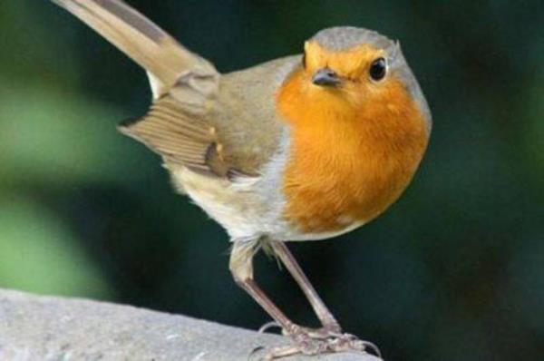 Kuun tmesinden, gemesinden, inmesinden iyilik ve ktlk beklemek.