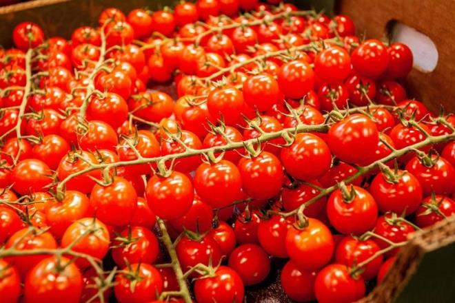 9. Kanser Riskini Azaltr<p>    Domateste bol miktarda bulunan likopen maddesi, akcier, meme, prostat, barsak ve pankreas kanserine yakalanma riskini drr.