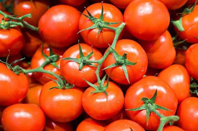 6. Kalp-Damar Hastalklarndan Korur<p>    Domates suyu B6 vitamini asndan zengindir. B6 vitamini, damar duvarlarna zarar veren homosistein isimli amino asidi yok ederek kalp-damar hastalklarnn nne geer.