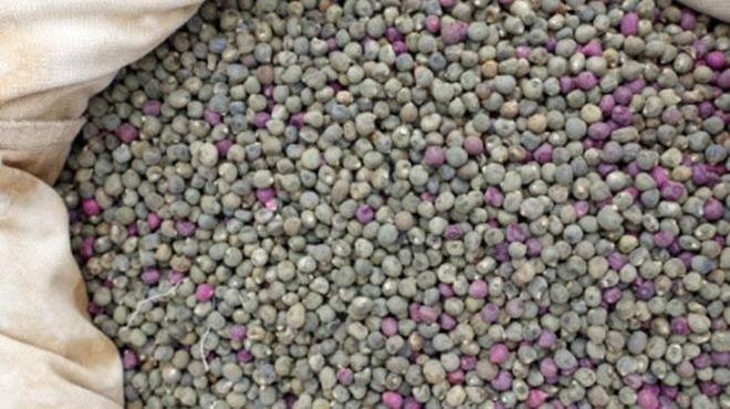 Bamya tohumunun mucizevi etkilerinden faydalanmann en etkili yolu, onu geceden suya koymak. Bir bardak oda scaklndaki suya 5-6 adet bamya tohumu ekleyin ve gece boyunca bekletin. Sabah uyandnzda, a karnna hem tohumlar hem de suyu tketin. Bu basit yntem, tohumlarn iindeki besin maddelerinin suya geiini salayarak etkisini artryor.