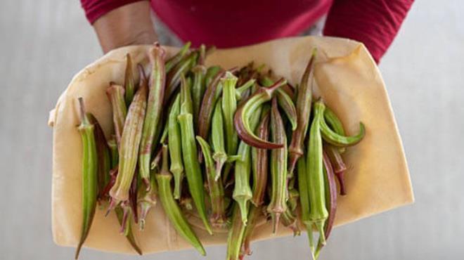 Ayn zamanda ieriindeki B vitamini kompleksi ile gn boyu enerjik hissetmenizi salyor. Sabah tkettiinizde, gne zinde bir balang yapmanza yardmc oluyor. Bu tohum, yksek lif ierii ile barsak hareketlerini dzenliyor ve sindirimi kolaylatryor. Bu sayede hem kabzl nlyor hem de barsak saln destekliyor.