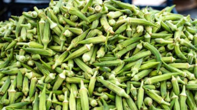 Bamya, yaz sofralarnn sevilen sebzelerinden biri olsa da, asl faydann tohumlarnda olduunu syleyebiliriz. Bamya tohumu, ieriindeki yksek lif, vitaminler (zellikle C ve K vitamini), mineraller ve gl antioksidanlarla sala saysz fayda sunuyor. Kk grnmesine aldanmamanz gerekiyor. Bu tohumlar, dzenli tketildiinde bir doal ila gibi alyor.