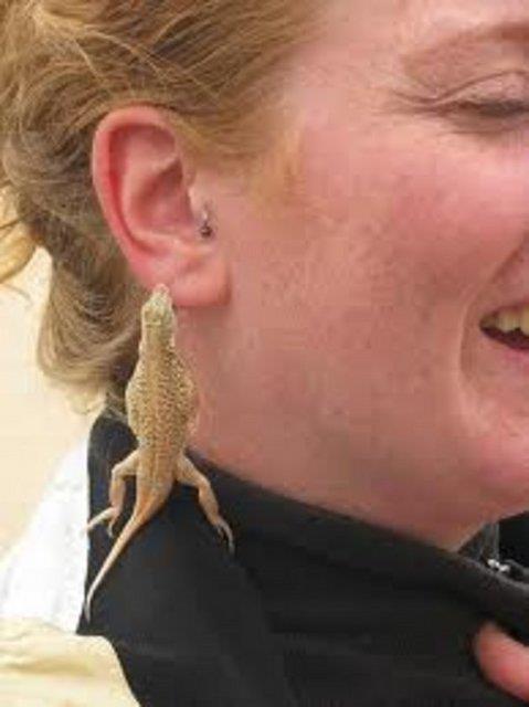 Bayanlar�n d���nda erkekler de bu ak�ma ra�bet g�steriyor