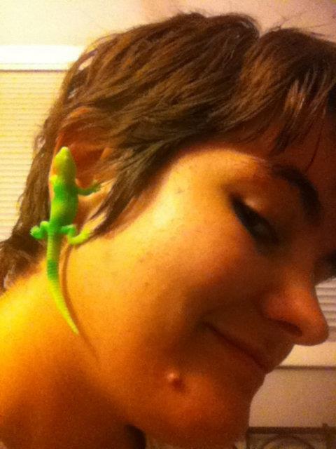 En ilgi �ekeni ise ye�il kertenkeleler.