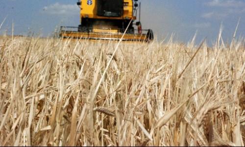 <p><b>nlisans</b> dzeyinden Bankaclk, Bankaclk ve Sigortaclk, Bilgisayar     Destekli Muhasebe, Bilgisayarl Muhasebe ve Vergi Uyg., letmecilik, Kooperatifilik,     Maliye, Muhasebe, Pazarlama, Sat Ynetimi, Sigortaclk, Tarmsal Kooperatifilik,     Tarmsal Pazarlama, letme Ynetimi, Banka ve Sigorta Ynetimi, Bitkisel rnlerde     Muhafaza ve Pazarlama, Finans, letme, Para ve Sermaye Ynetimi, Tarm letmecilii     ve Pazarlama ve Depolamas, Tarmsal letmecilik, Genel letme, Finans ve     Muhasebe, Pazarlama ve Sat, Tarm letmecilii ve Pazarlama, Muhasebe ve     Vergi Uygulamalar, Tarm letmecilii, letme- Muhasebe, Adalet Meslek Yksekokulu     mezunu olmas</p>  <p><b>Lisans</b> dzeyinden bavuracaklarn ise Bankaclk, Bankaclk Finans,     Bankaclk ve Sigortaclk, alma Ekonomisi ve Endstri likileri, Ekonomi,     ktisat, letme/letmecilik, Kamu Ynetimi, Maliye, Muhasebe, Sigortaclk,     Siyaset Bilimi ve Kamu Ynetimi, Uluslararas likiler, Uluslararas Ticaret,     Uluslararas Ticaret ve letmecilik, Muhasebe-Finansman, Ekonomi ve Finans,     Muhasebe ve Finansal Ynetim, Sigortaclk ve Risk Ynetimi, Uluslararas Ticaret     ve Finansman, Bankaclk ve Finans/Bankaclk ve Finansman, letme-Ekonomi/letme-ktisat,     Uluslararas Finans, Maliye-Muhasebe, alma Ekonomisi, Pazarlama mezunu olmas     gerekiyor.</p>