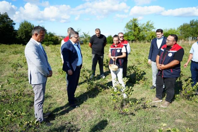 Uzmanlar, aronyay taze olarak tketmenin yan sra meyve suyu, reel veya kurutulmu ekilde de deerlendirebileceini sylyor. Ancak ar tketimden kanlmas gerektii, herhangi bir salk sorunu olan kiilerin ise doktor kontrolnde tketim salamas gerektii vurgulanyor.
