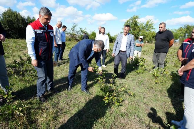 C, E VTAMN ZENGN; KALP DOSTU    Aronya, C vitamini, E vitamini ve polifenol asndan zengin bir ierie sahip. Bu sayede vcudu serbest radikallere kar koruyarak yalanma srecini yavalatmaya yardmc oluyor.
