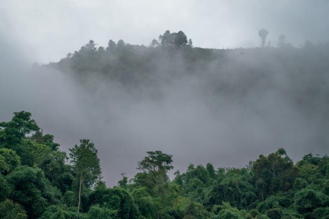 Savan izleri hl blgede grlrken, Long Tieng turistik bir nokta olmaktan ok, aratrmaclarn ve tarihilerin ilgisini eken bir alan konumunda.