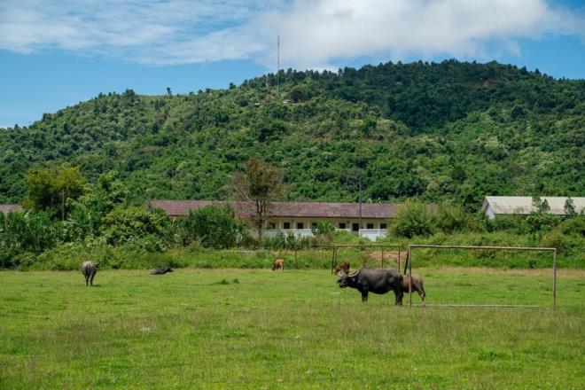 zellikle CIA?nn gizli operasyonlarn inceleyenler iin kasaba, hl byk bir merak konusu.