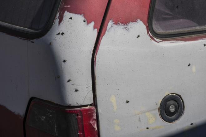 LER GREVDE    Karyaka Belediyesi'nde iiler, maalarnn denmedii gerekesiyle geen gnlerde i brakt.