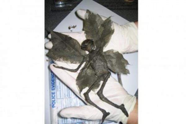 Perilere inananlar bunun bir Peri mumyas olduunu iddia etti.