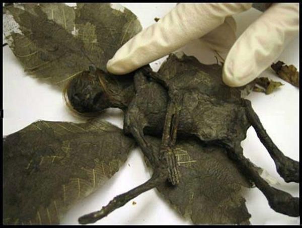 Ancak gerek daha sonra ortaya kt. Dan Baines isimli ngiliz sadece aka yapmak istemiti...