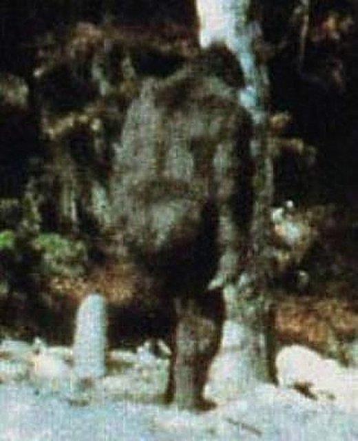 Kocaayak cesedinin kauuktan bir kostm olduu akland.