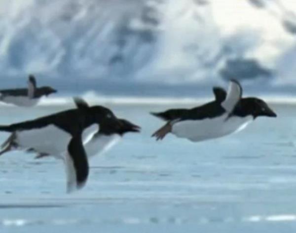 Gerekte ise 1 Nisan akasyd.