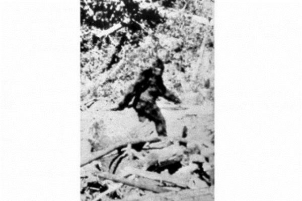 <b>Koca Ayak Efsanesi:</b> ABD'de 1958 ylnda 48-55 numara byklnde ayak izleri grmesiyle balayan, 1967 ylnda bu grntlerle byyen tartma daha sonra bu grntnn 'koca ayak' filminde kullanlan bir kstm olduu iddiasyla sryor...