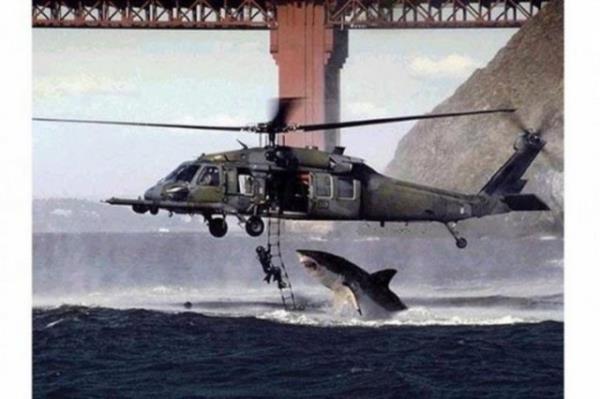 <b>Kpekbal Dalgc Yuttu:</b> Bu fotorafta internet sitelerinde hzla yaylm, dalgn son anlar olarak gsterilmiti.