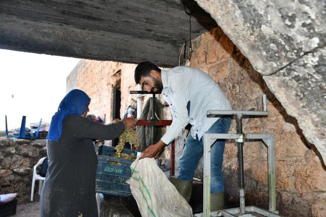 Bu yntemle yaklak 50 litre zm suyundan 10 litre pekmez retiliyor. reticiler ailelerinin ihtiyac olan ksm ayrdktan sonra kalan pekmezi satarak gelir elde ediyor.